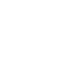 DAMA logo mark